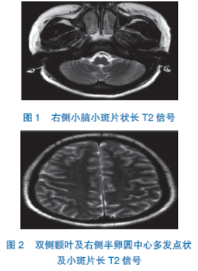 你是我兄弟巅峰决战 产品图片