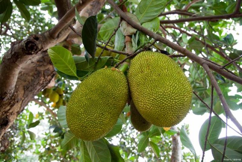 你还记得我吗 3D 相关产品