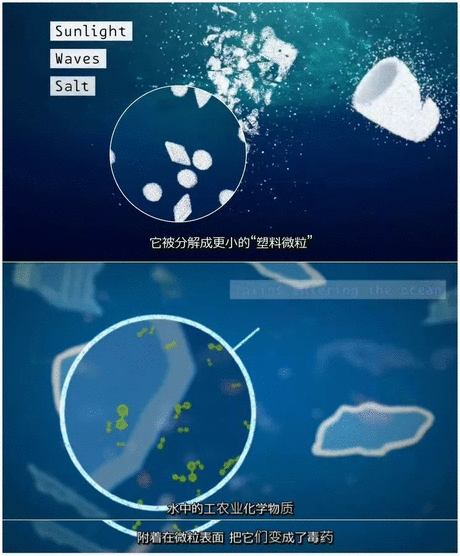 你那好冷的小手 相关产品