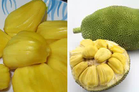 夏伊洛 相关产品