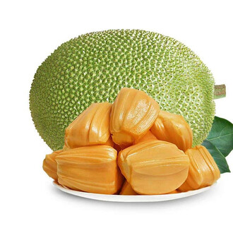 倚马而息 产品图片