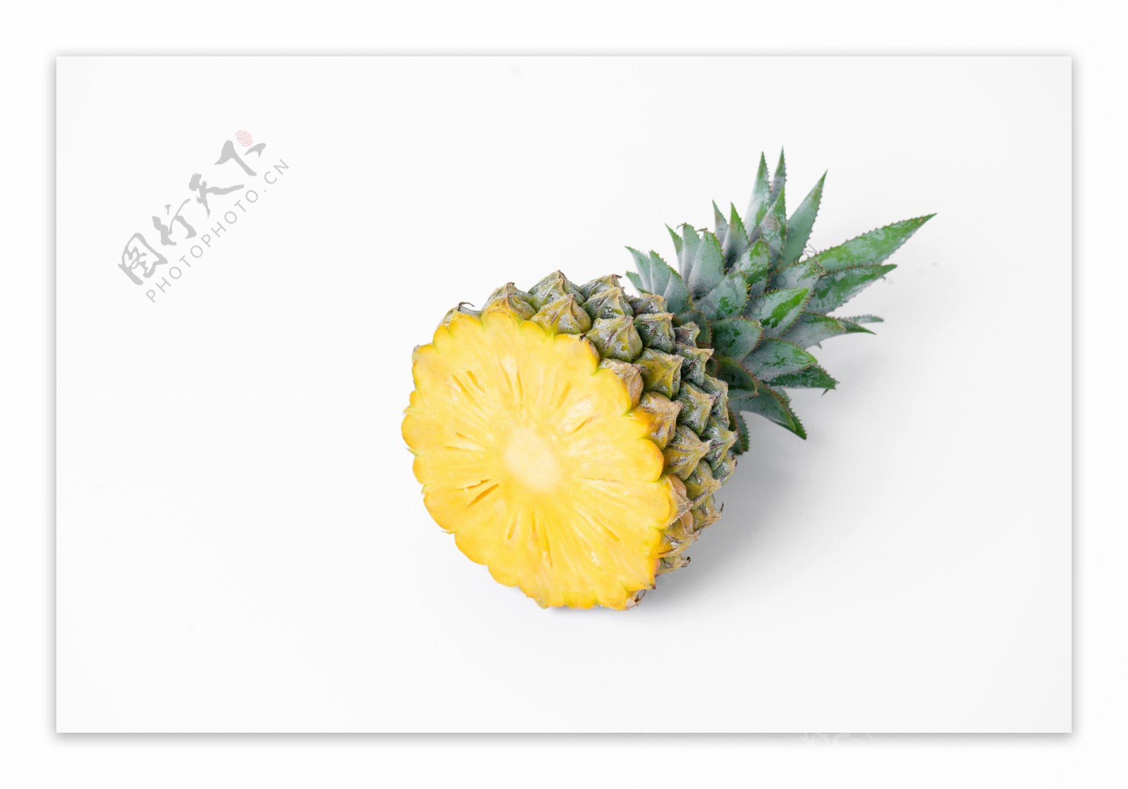 侠盗之歌 相关产品