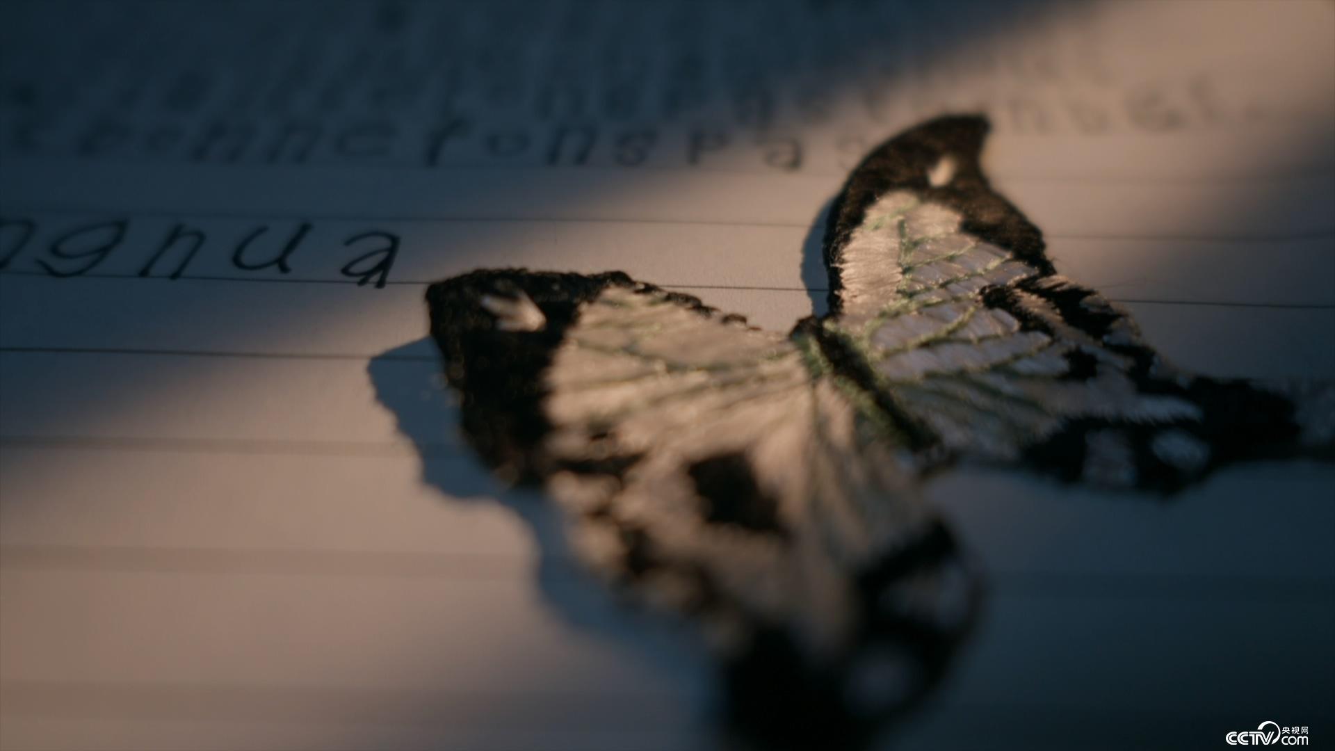 伊伦嘉：诱惑的艺术 产品主图