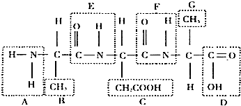 圣斗士星矢：圣域传说 产品图片