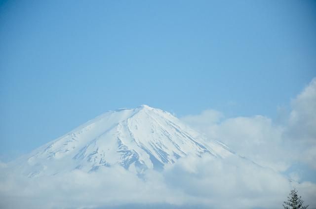 作祟的心 相关产品