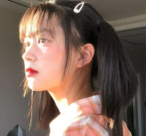 你好，陌生人 相关产品