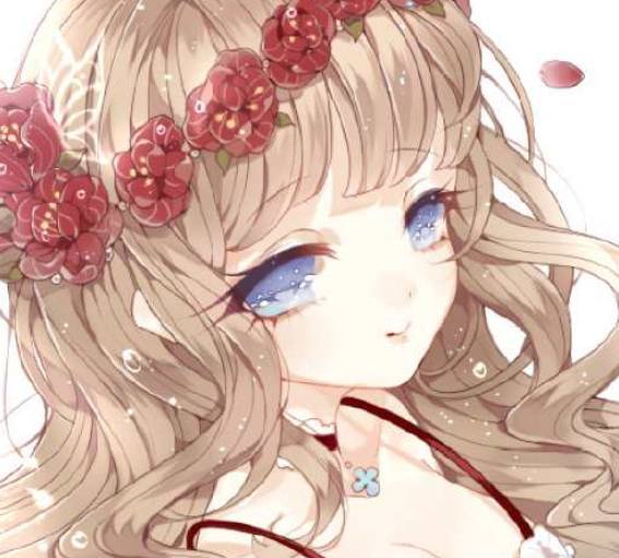 国家要案 产品主图