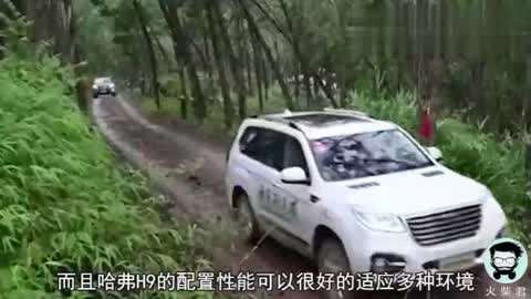 可不可以不毕业 产品图片