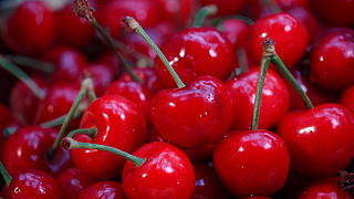 傀儡姬 产品图片