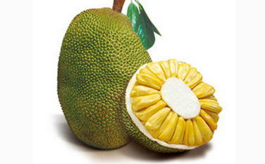 侦探芭比 相关产品