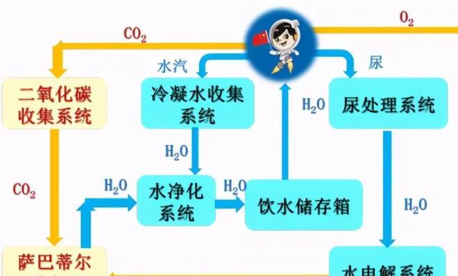 使徒行者（国语版） 相关产品