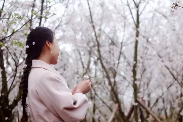 侏罗纪世界 产品图片