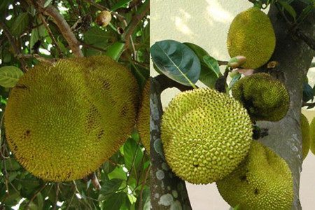 地狱恶女 相关产品