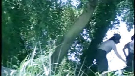 假日总动员 相关产品