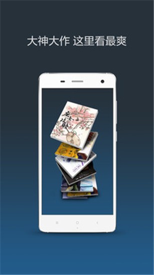 圣罗兰传 产品主图