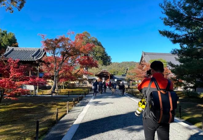 你好中世纪 相关产品