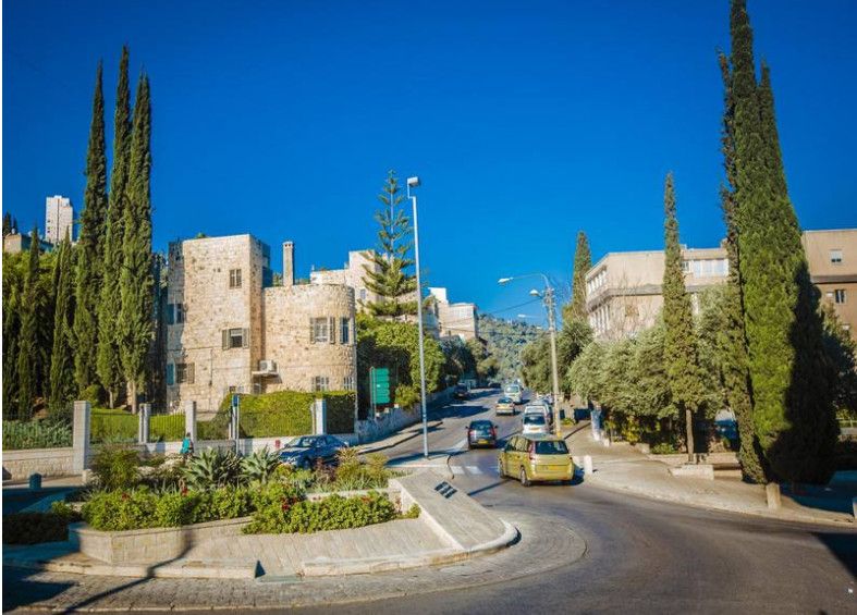 倒霉蛋淘金记 相关产品